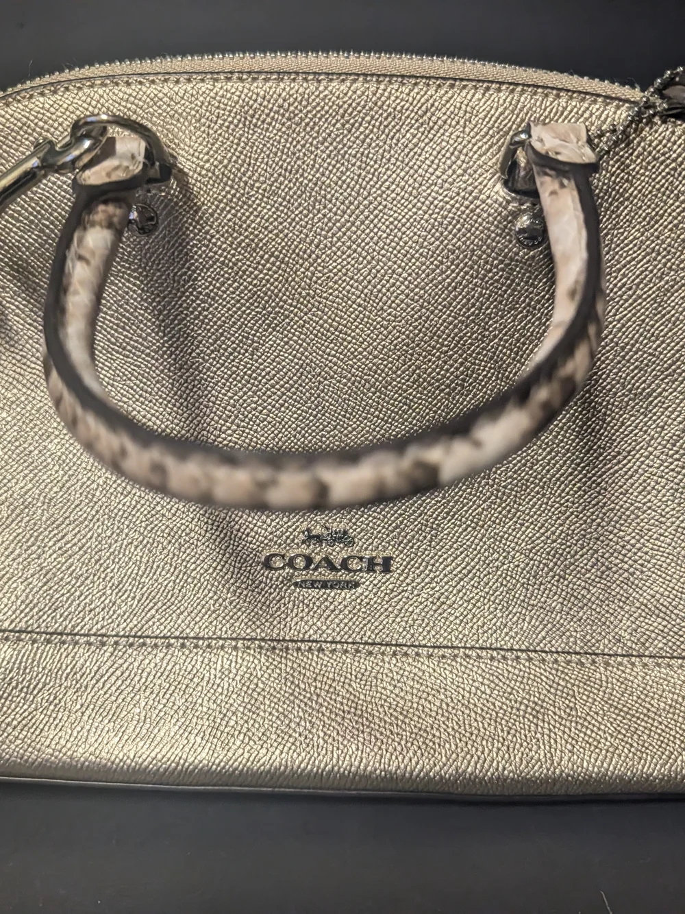 Coach Metallic Silver Leather Mini Sierra Satchel Bag F38057 Snakeskin Trim